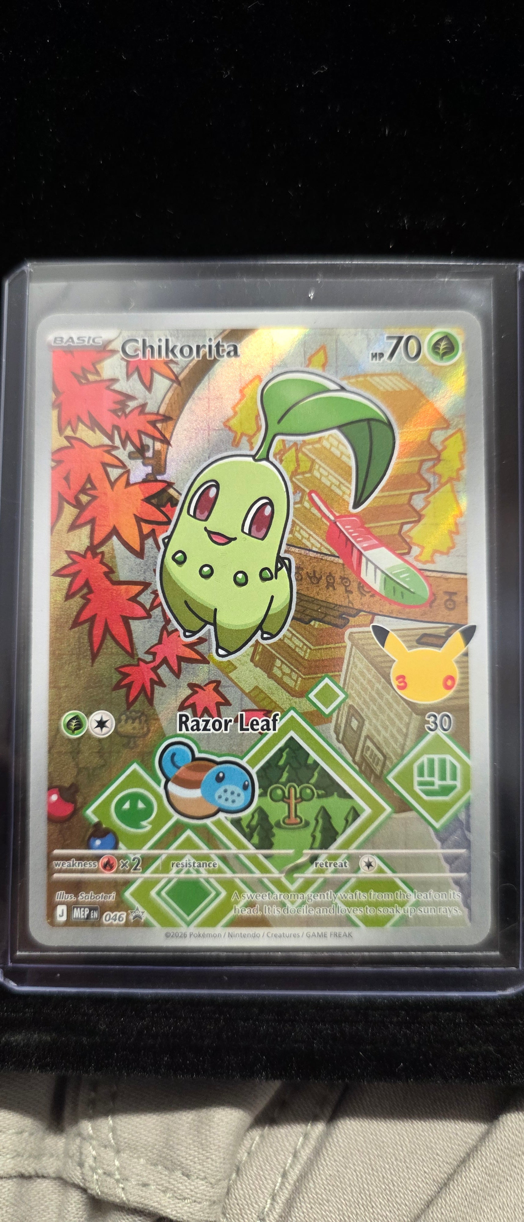 #Pk012 Chikorita 2024 Pokémon MEW Promo #046 Full Art Holo – Razor Leaf – Cute Fall Scene – NM/M Card in Sleeve