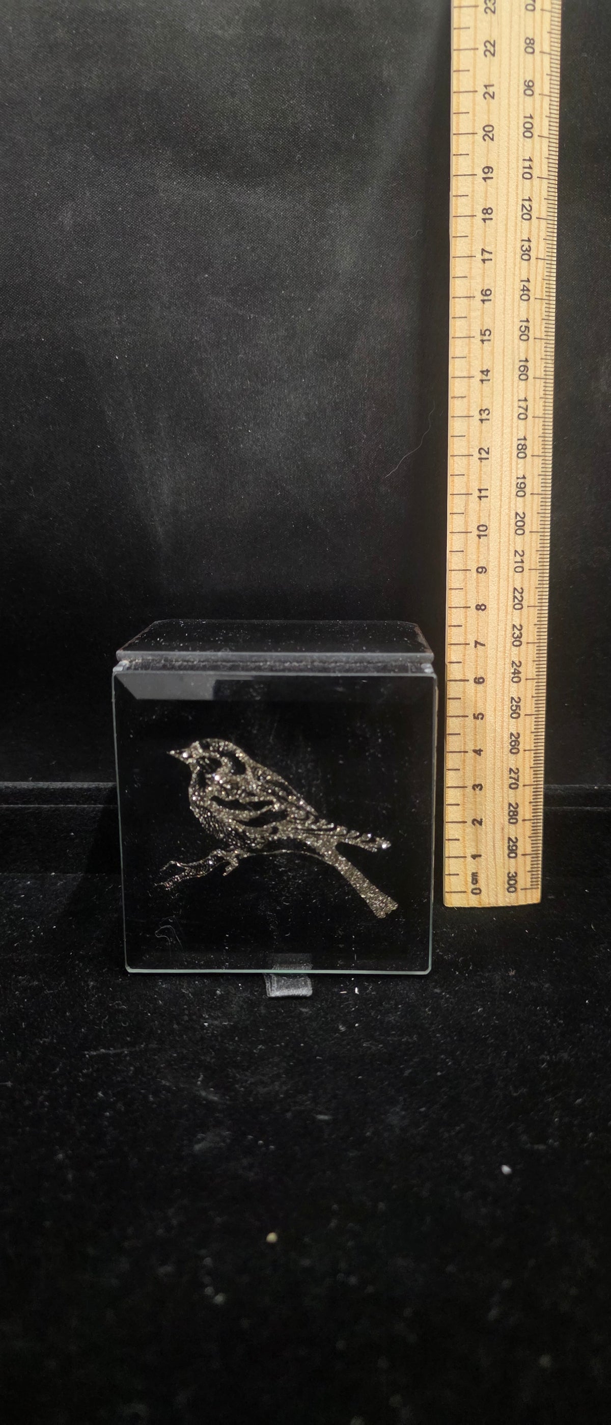 #P023 Black Hinged Trinket / Jewelry Box – Sparkle Bird Design on Lid