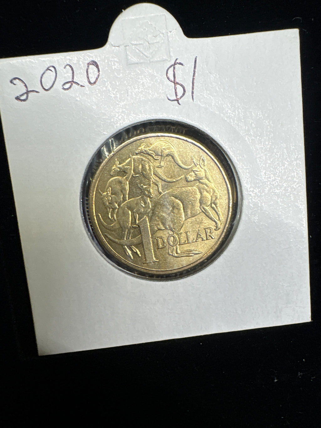 #M195 2020 Australia $1 Mob of Roos Coin – Uncirculated in 2x2 Holder