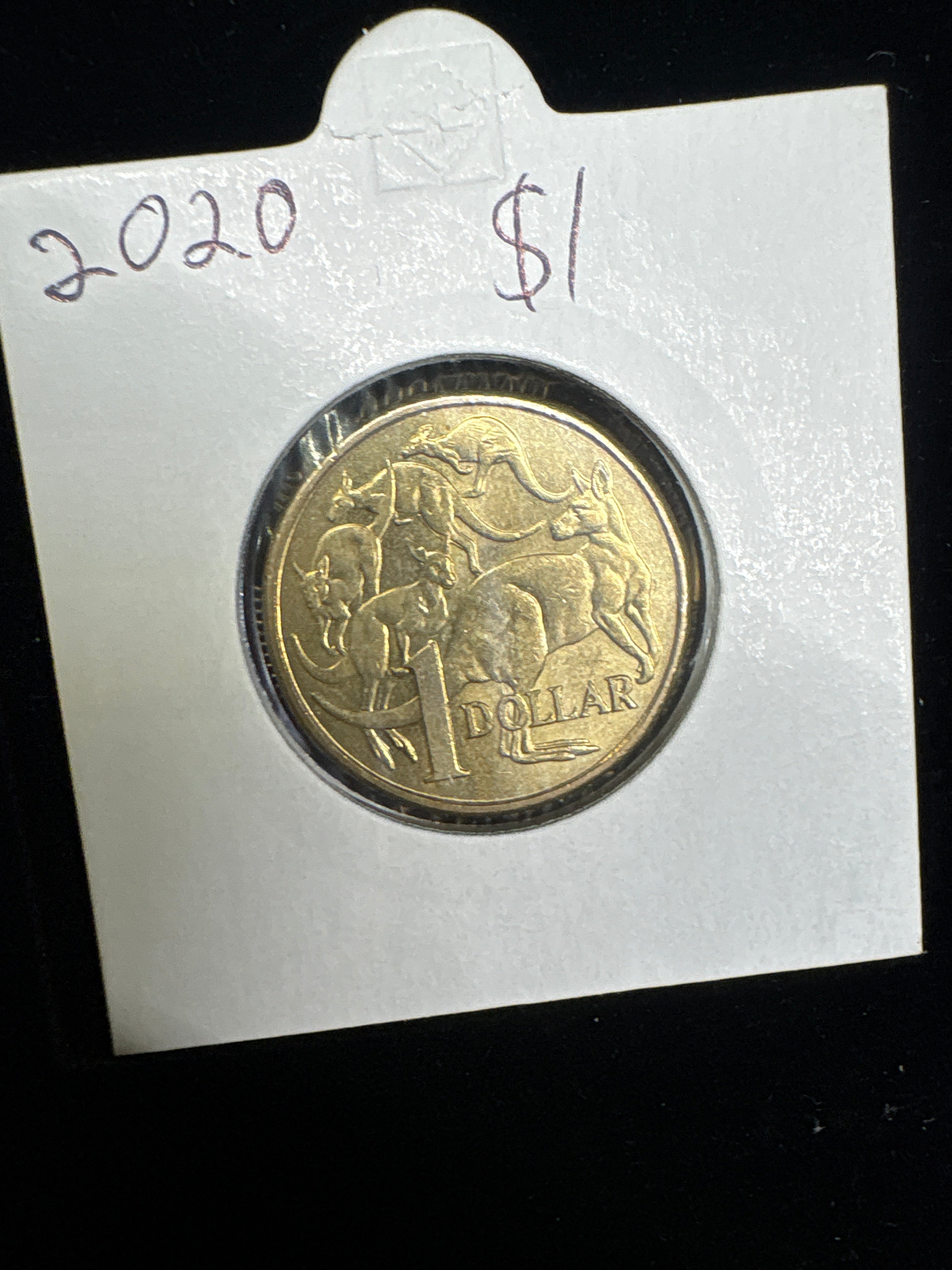 #M195 2020 Australia $1 Mob of Roos Coin – Uncirculated in 2x2 Holder
